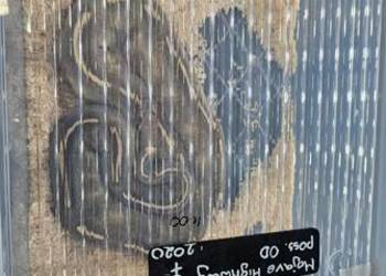 Piękny duży samiec pyton królewski mojave highway