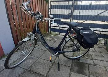 Rower elektryczny SPARTA