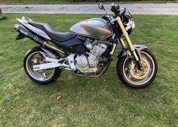 Honda Hornet