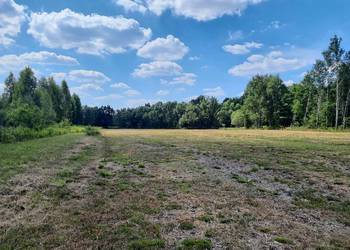 Sprzedam dwie działki okolice Wołomina 3,4 ha, Cięciwa