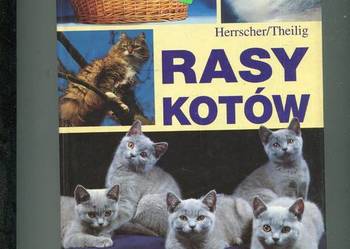 Rasy kotów - Herrscher , Thieilig