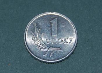 1 grosz 1949r BZ Moneta PRL Starocia 1 grosz 1949r BZ Moneta PRL Starocia