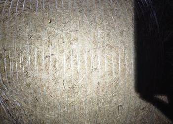 Sprzedam siano w belach