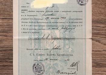 Świadectwo egzaminu rządowego z nauk politycznych Lwów 1903