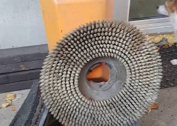 Polerka, cykliniarka lub do szorowania TASKI