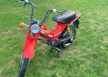 Honda PX 50