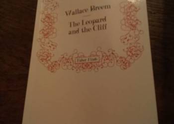 The leopard and the cliff. Po angielsku!