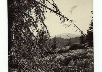 GORCE WIDOK Z TURBACZA CZARNO BIAŁA