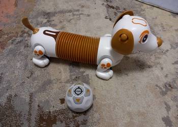 Sterowany piesek YCOO