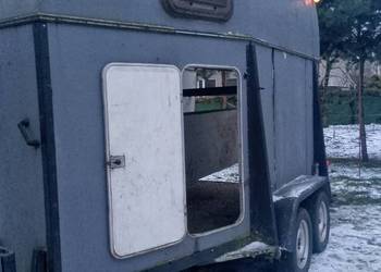 Przyczepa do przewozu koni