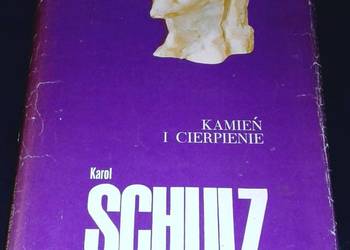 Kamień i cierpienie - Karol Schulz