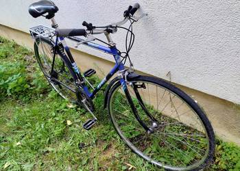 Rower Romet Wagant