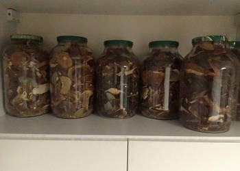 Grzyby suszone Grzyby suszone