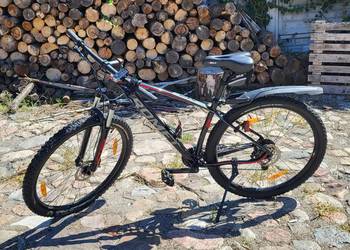 Rower Romet Mustang M2