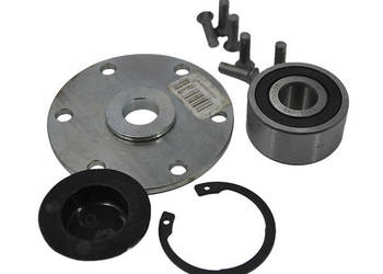 Zestaw naprawczy tarczy redlicy G15226600R-WN Gaspardo AP