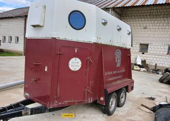 przyczepka Westfalia koniowoz