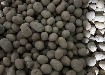 Sprzedam ziemniaki odpadowe