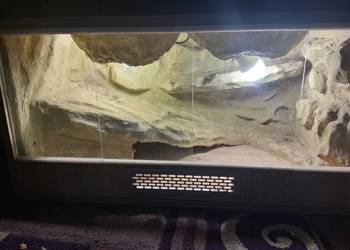 Terrarium Dla Gekona 80x40x40 Pustynne