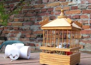 klatka drewniana z ptaszkami 15 cm