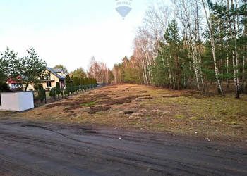 Działka z własnym lasem, MPZP