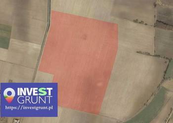 [32,92 ha] przetarg na dzierżawę gruntów rolnych