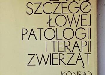 Ullrich - Zarys Szczegółowej Patologii i Terapii Zwierząt/ weterynaria