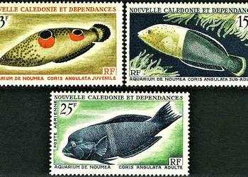 NOWA KALEDONIA 1959/1965-dwie serie-życie morskie.