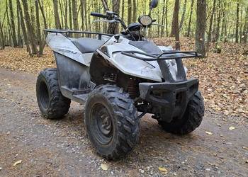 Quad sym e-ton vectors 250