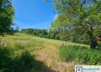 Działka 1589m2 Czarnorzeki
