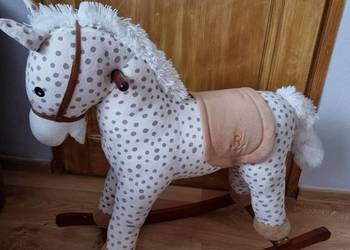 Konik bujany