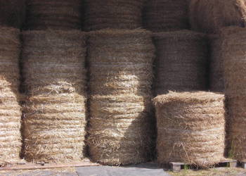 Słoma baloty 120x120 Transport