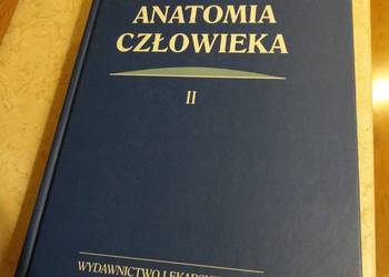 Anatomia człowieka, autorzy Adam Bochenek, Michał Reicher Tom II