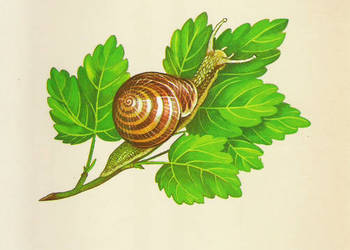 Biollogia z higieną i ochroną środowiska.