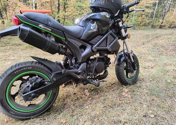 Motorower Romet pony 2019