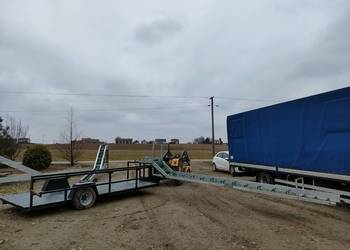 podajnik transporter taśmociąg przenośnik do zbioru warzyw z platforma