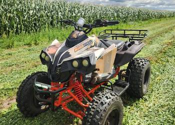 Quad KXD 250cc