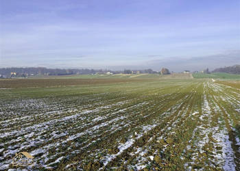 Oferta sprzedaży działki 1000 metrów Dębowiec