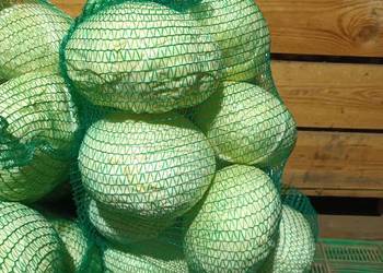 Sprzedam kapustę białą