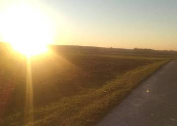 MPZP Niwki ladna lokalizacja przy drodze asfaltowej