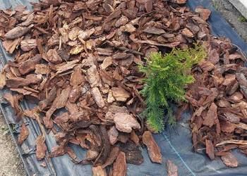 Kora sosnowa Ziemia ogrodowa uniwersalna Torf kwaśny Kompost Obornik