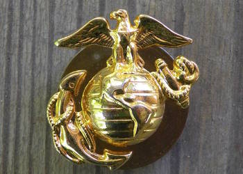 Wpinka pin Us Army USMC Marines