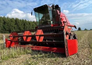 Massey Ferguson 31xp Dronningborg