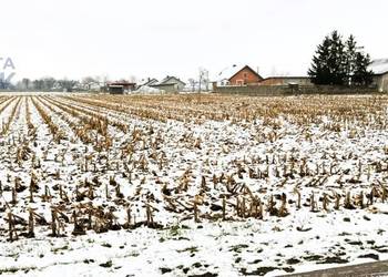 Sprzedam działkę o pow. 4606 m2 w Leonowie, w gminie Nowa Sucha