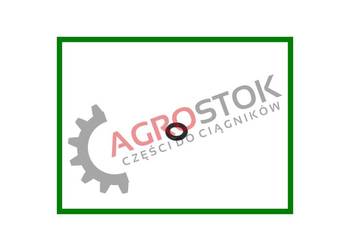 Oring filtra paliwa t25