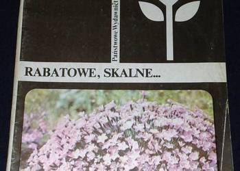 Goździki w ogródku. Rabatowe, skalne - Kazimierz Mynett