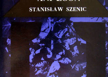 Ani triumf ani zgon - Stanisław Szenic