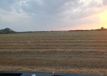 Przyjmę grunty orne w dzierżawę