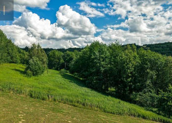 Działka Jaszczurowa 18900m2