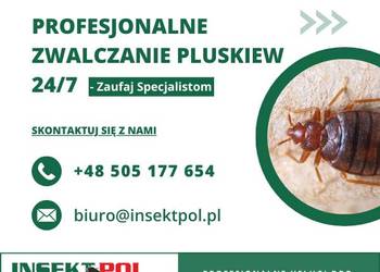 Zwalczanie pluskiew Biskupiec - Odpluskwianie, Dezynsekcja