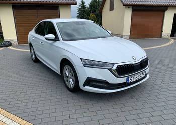 Skoda Octavia - Salon Polska Bezwypadkowy 2021
